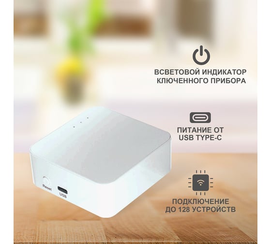 Шлюз для умного дома SECURIC Wi-Fi, ZigBee, BT, Алиса SEC-GT-101