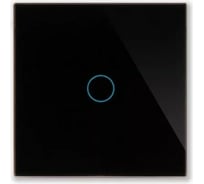 Сенсорный выключатель со стеклянной панелью CGSS изготовленный по технологии Optiwhite с возможностью управления Алисой отдельностоящий на одну линию GL-TSP01WF-BCG