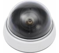 Муляж купольной камеры видеонаблюдения Beroma 07716028