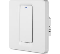 Умный однокнопочный выключатель Roximo Zigbee SZBTN01-1 25279683