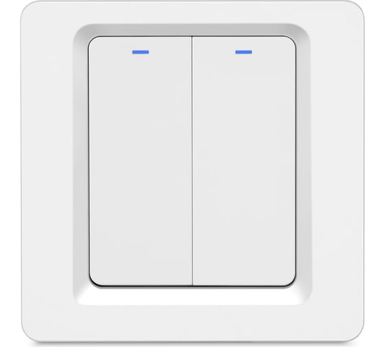 Умный двухкнопочный выключатель Roximo Zigbee SZBTN01-2