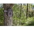 Камера-фотоловушка 14MP Bushnell Outdoor Products TROPHY CAM AGGRESOR HD, BROWN LOW GLOW 119774 3