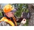 Камера-фотоловушка 14MP Bushnell Outdoor Products TROPHY CAM AGGRESOR HD, BROWN LOW GLOW 119774 6