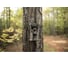 Камера-фотоловушка 14MP Bushnell Outdoor Products TROPHY CAM AGGRESOR HD, REALTREE XTRA BLACK LED 119777 3
