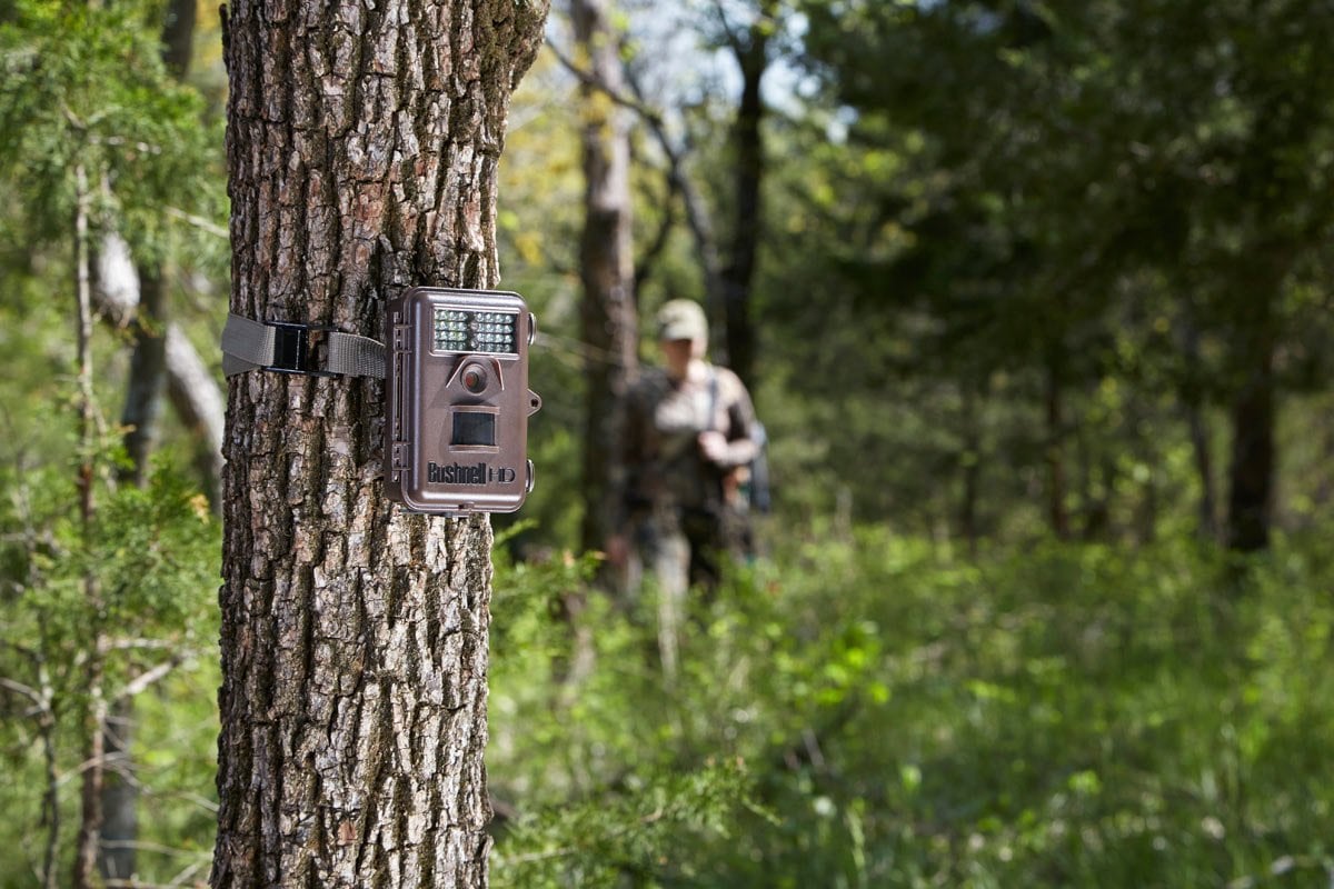 Как обнаружить фотоловушку. Фотоловушка Trail Camera. Фотоловушка Hunting Trail. Minicam24 фотоловушка. Фотоловушка Бушнелл.