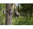 Камера-фотоловушка 12MP Bushnell Outdoor Products TROPHY CAM ESSENTIAL HD, BROWN LOW GLOW 119736 2