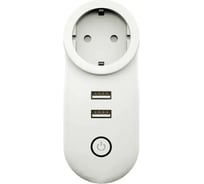 1-постовая розетка Moes Smart Socket, Zigbee, 110-240 В, 16А, белая ZP-LZ-EU2U