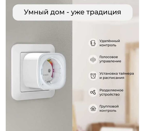 Розетка Plug GOSUND EP8