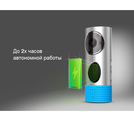 Беспроводная WiFI камера видеонаблюдения IVUE Clever Dog, 3G, P2P DOG-3G72 BLACK