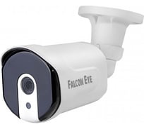 Уличная гибридная видеокамера Falcon Eye 1080P 00-00109248