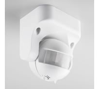 Светорегулятор Elektrostandard SNS-M-08 1200W R12m a034065