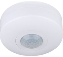 Светорегулятор Elektrostandard SNS-M-02 6m 2,2-4m 1200W IP20 360 Белый a026129