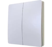 Беспроводной выключатель ZDK Light 2254 2 кнопки, белый 2618