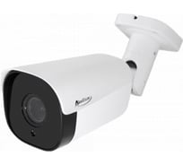 Камера AKSILIUM IP-205 VP (5-50) 1 AI УТ000085159