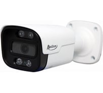 Камера AKSILIUM IP-203 FPA (2.8) 1 AI УТ000091428