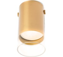 Потолочный светильник FERON ml189 mr16 gu10 35w 230v, золото, 48745