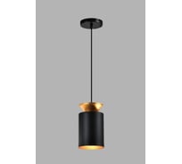 Подвесной светильник Moderli latina черный, золотой алюминий, металл V10452-1P