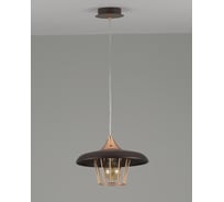 Подвесной светильник Moderli alisa 1 e27 60w V2840-1P