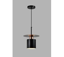Подвесной светильник Moderli palermo черный, золотой алюминий, металл V10450-1P