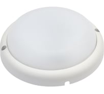 Светодиодный накладной светильник General Lighting Systems GCF-9BT-IP65-R-6-B 437551