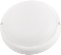 Светодиодный накладной светильник General Lighting Systems GCF-17BT-IP65-R-4-B 437556