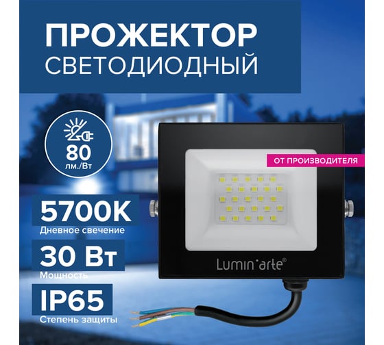 Светодиодный прожектор Lumin'arte 30Вт, 5700К Холодный свет, IP65, 2400Лм, черный LFL-30W/06
