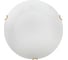 Настенно-потолочный светильник СОНЕКС LED 24W AMMONITE 7602_BL 1