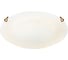 Настенно-потолочный светильник СОНЕКС LED 24W AMMONITE 7602_BL 4