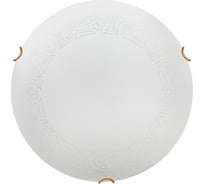 Настенно-потолочный светильник СОНЕКС LED 48W AMMONITE 7602_DL