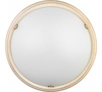 Настенно-потолочный светильник СОНЕКС LED 48W PROVENCE 7605_DL