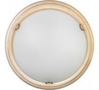 Настенно-потолочный светильник СОНЕКС LED 24W PROVENCE 7605_BL
