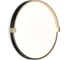 Настенно-потолочный светильник СОНЕКС LED 30W OLIDI BLACK 7647_C 7647_CL 5