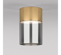 Потолочный светодиодный светильник Elektrostandard 10w 4000к 25047/led латунь/дымчатый a064708