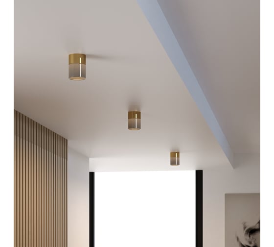 Потолочный светодиодный светильник Elektrostandard 10w 4000к 25047/led латунь/дымчатый a064708