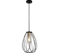 Подвесной светильник ESCADA E27х60W, Black/Brass 10180/1S