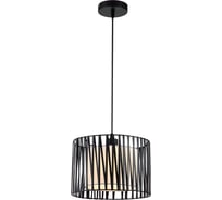 Подвесной светильник ESCADA E27х60W, Black/Silver 10181/1S