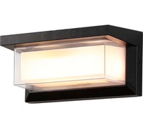 Настенный светодиодный светильник Балтийский светлячок черный ZJ-2001G