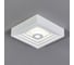 Настенно-потолочный светильник GESSO 700 LM 7W 10218/SG LED 2