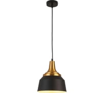 Подвесной светильник ESCADA E27*40W Black 1102/1S