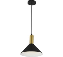 Подвесной светильник ESCADA 1108/1S E27*60W Black 1108/1S Black