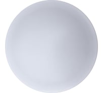 Светодиодный светильник LLT СПБ-РОНДО 22Вт 230В 4000К 325*90мм 4690612010755