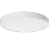 Накладной светодиодный светильник TDM ELECTRIC Даунлайт НАРОДНЫЙ СПО круг, белый, алюминий, 24Вт, 3000К SQ0329-4221