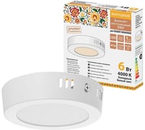 Накладной светодиодный светильник TDM ELECTRIC Даунлайт НАРОДНЫЙ СПО круг, белый, алюминий, 6Вт, 4000К SQ0329-4213