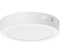 Накладной светодиодный светильник TDM ELECTRIC Даунлайт НАРОДНЫЙ СПО круг, белый, алюминий, 12Вт, 3000К SQ0329-4215