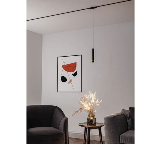 Магнитный трековый светильник ARTE LAMP rapid A6159PL-1BK