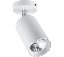 Светодиодный светильник FERON 10W, 800Lm, 35 гр, белый, наклонный, AL519 29873