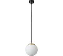 Подвес LUMION E14 60W DEXTER 6500/1