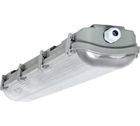 Пылевлагозащищенный светильник EKF ДСП-3002 под LED лампу 2хT8 600мм PROxima TPL-3002-2Х060