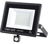 Светодиодный прожектор HOROZ ELECTRIC С ДАТЧИКОМ ASLAN/S-30 068-011-0030 30W Черный 6400K 175-250V HRZ01001161