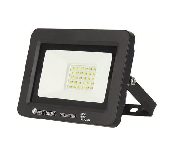 Светодиодный прожектор HOROZ ELECTRIC ASLAN-30 068-010-0030 30W Черный 6400K 175-250V HRZ01001154